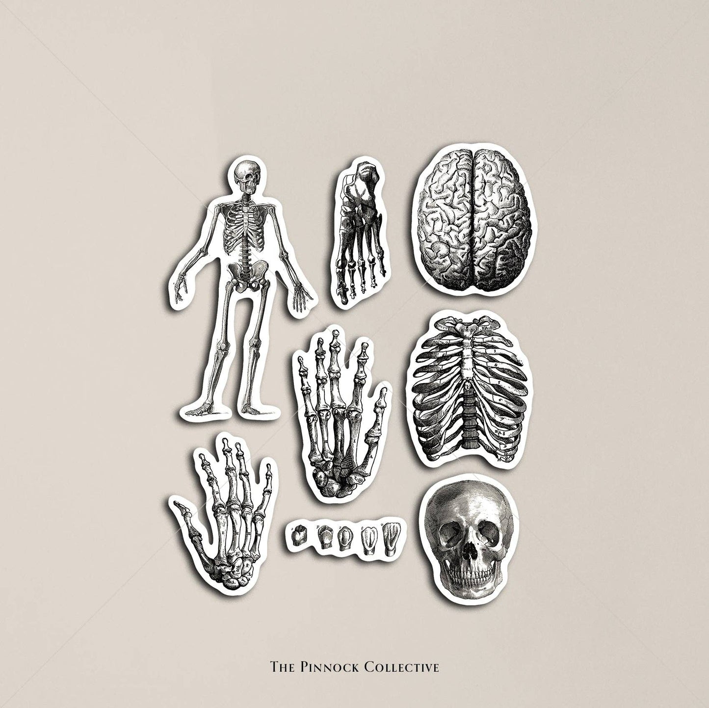 Vintage Medical Sticker Sheet