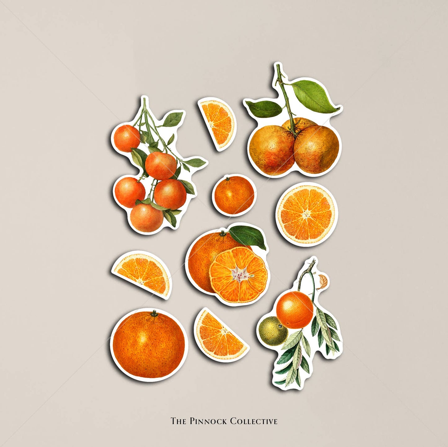 Vintage Oranges Themed Sticker Sheet