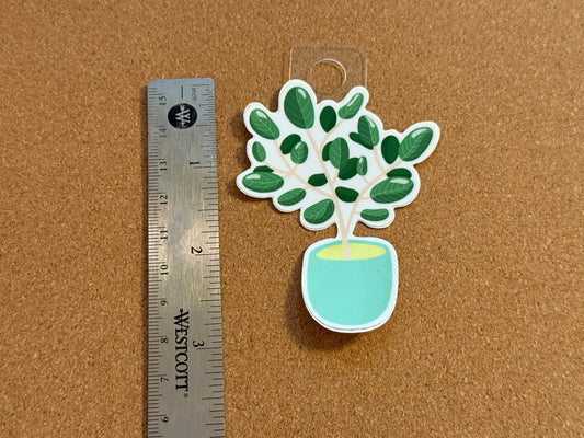 Ficus Audrey Plant Sticker