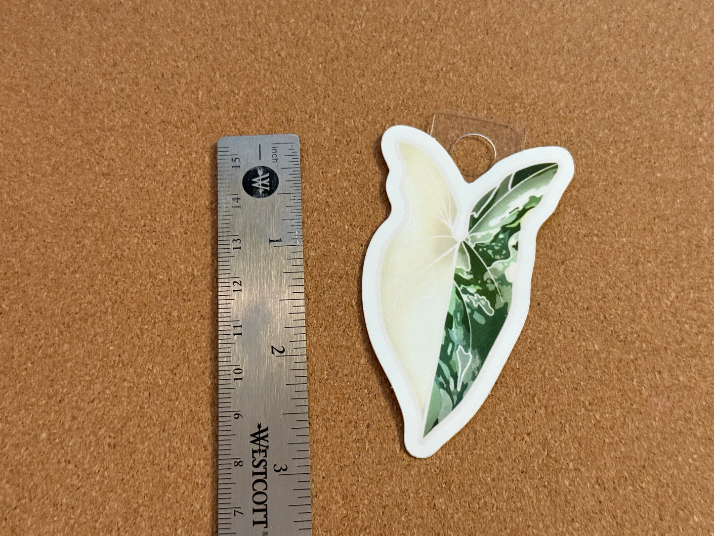 Syngonium Albo Variegata Plant Sticker