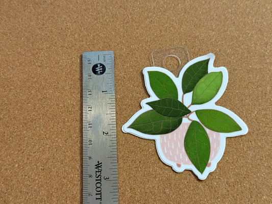 Hoya Finlaysonii Plant Sticker