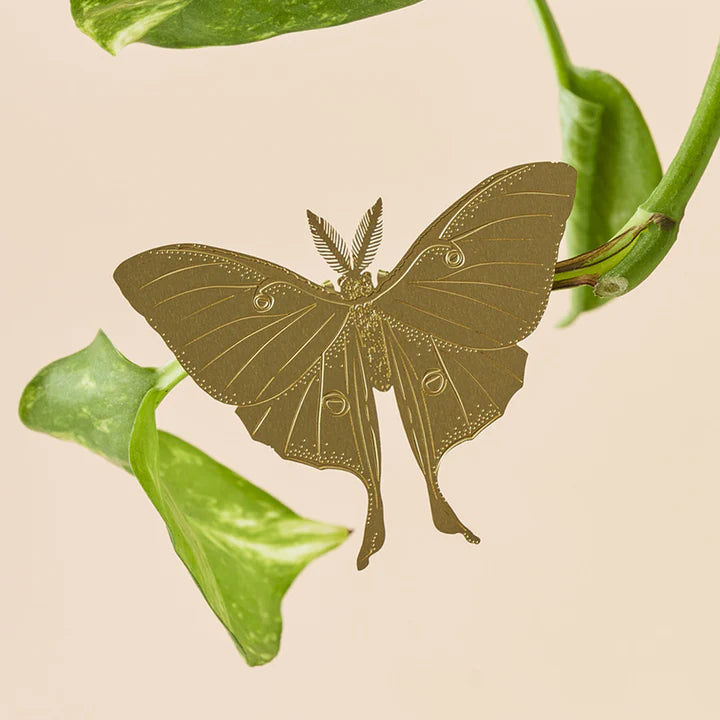 Brass Plant Animals