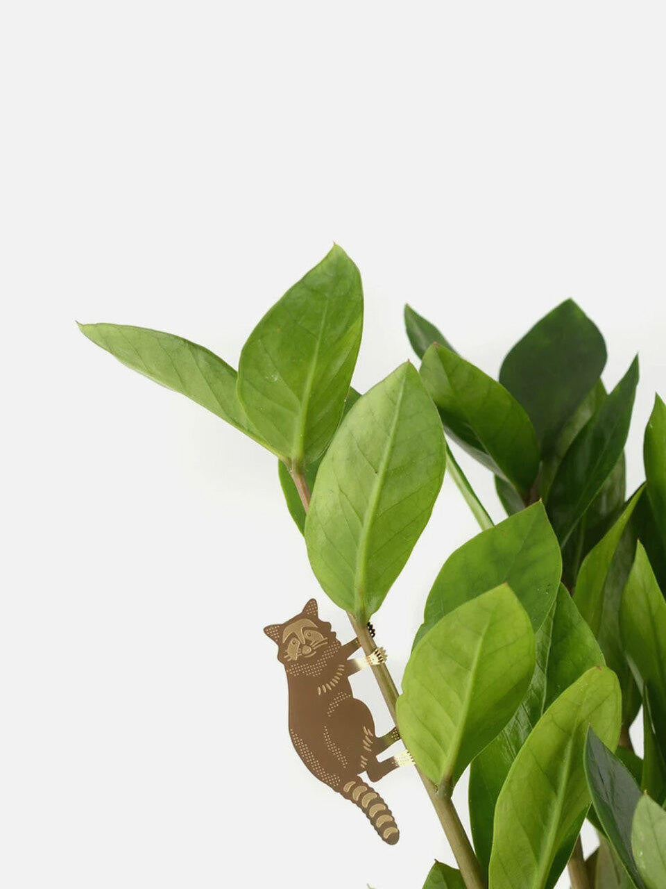 Brass Plant Animals