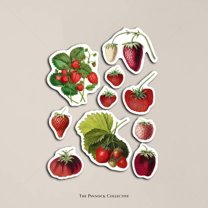 Vintage Strawberries Sticker Sheet