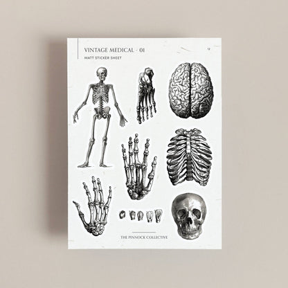 Vintage Medical Sticker Sheet