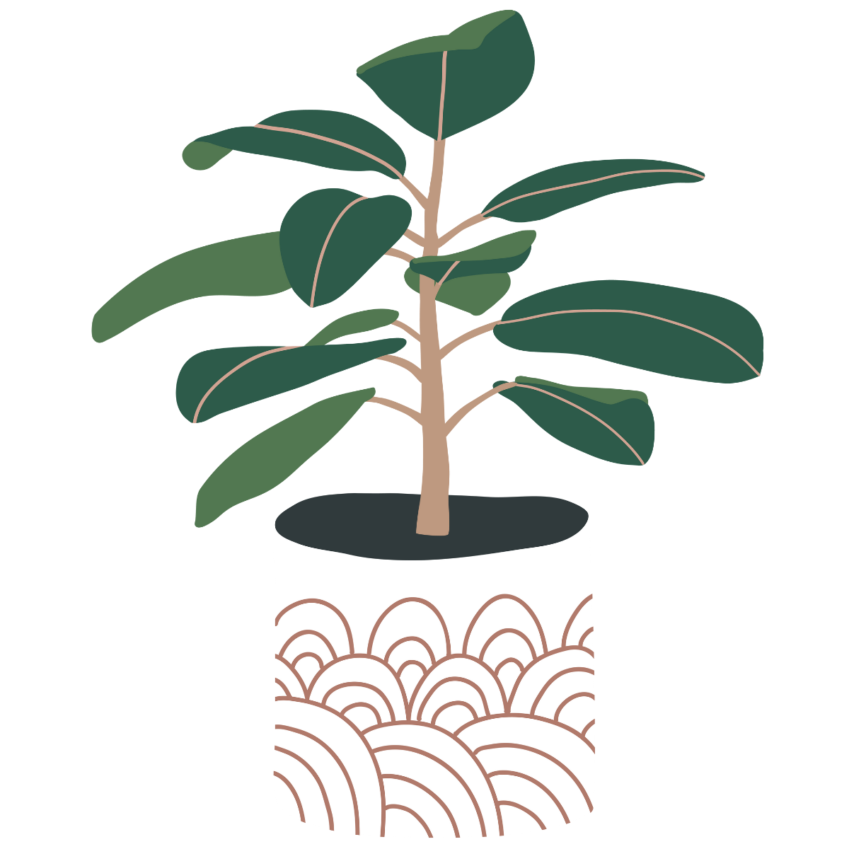 Rubber Tree Plant Sticker (clear)