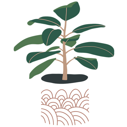 Rubber Tree Plant Sticker (clear)