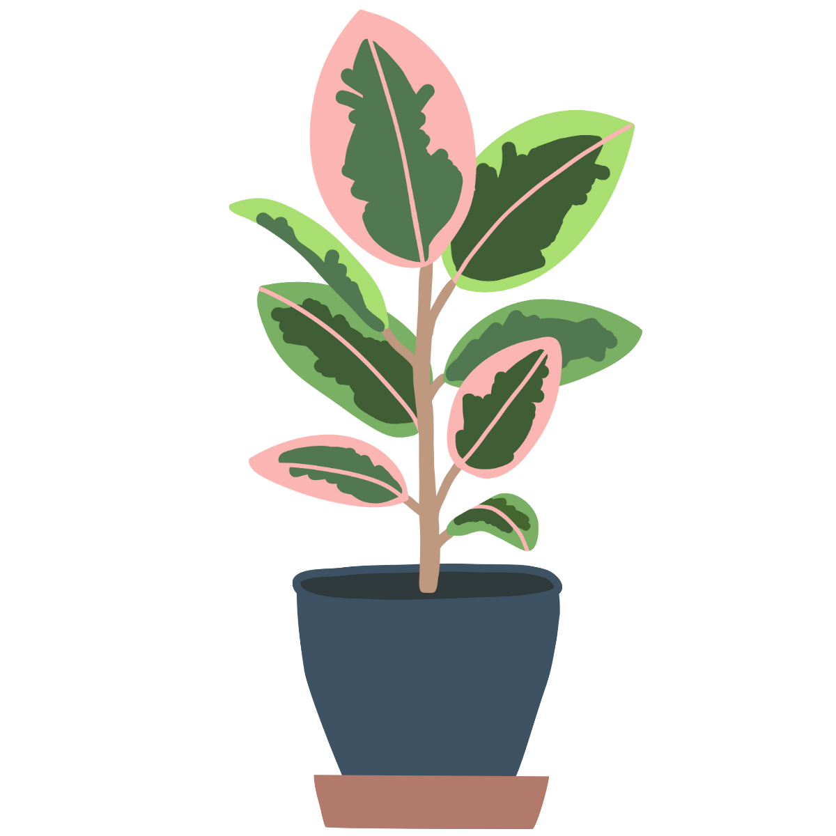 Variegated Ruby Rubber Plant Sticker