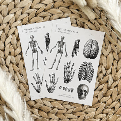 Vintage Medical Sticker Sheet