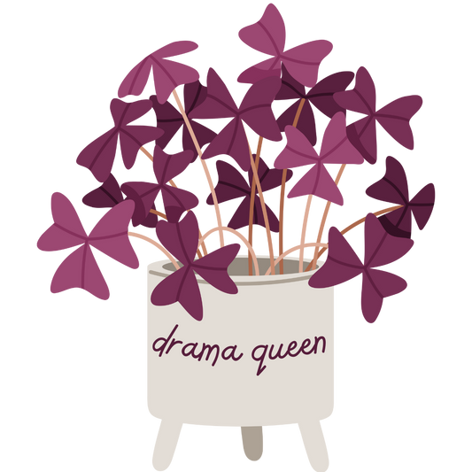 Drama Queen Plant Sticker