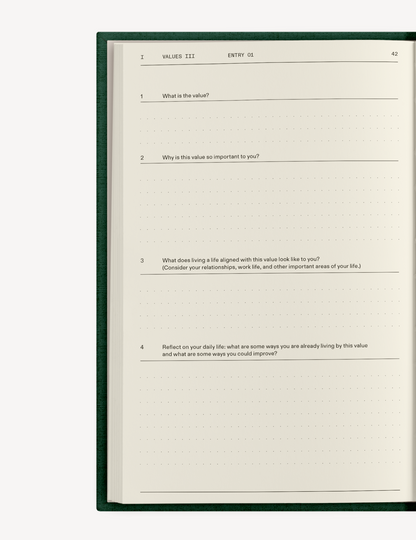 The Field Guide for Depression