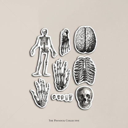 Vintage Medical Sticker Sheet