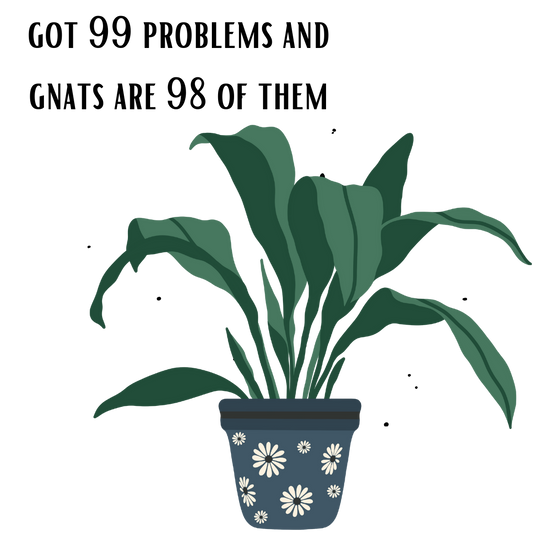 Gnat Problem Plant Sticker