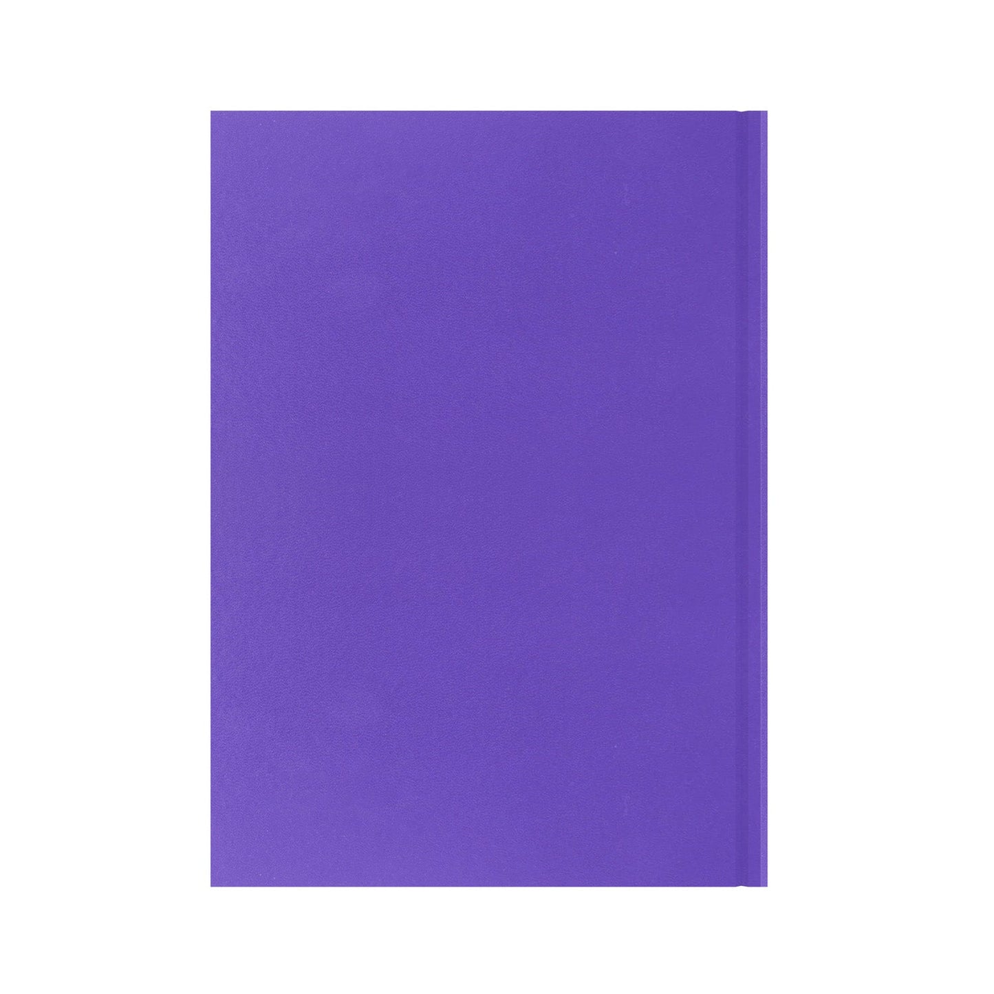 Essentials - A4 Day-to-Page with Appointments Mid/Academic Year Diary Planner 2025-2026