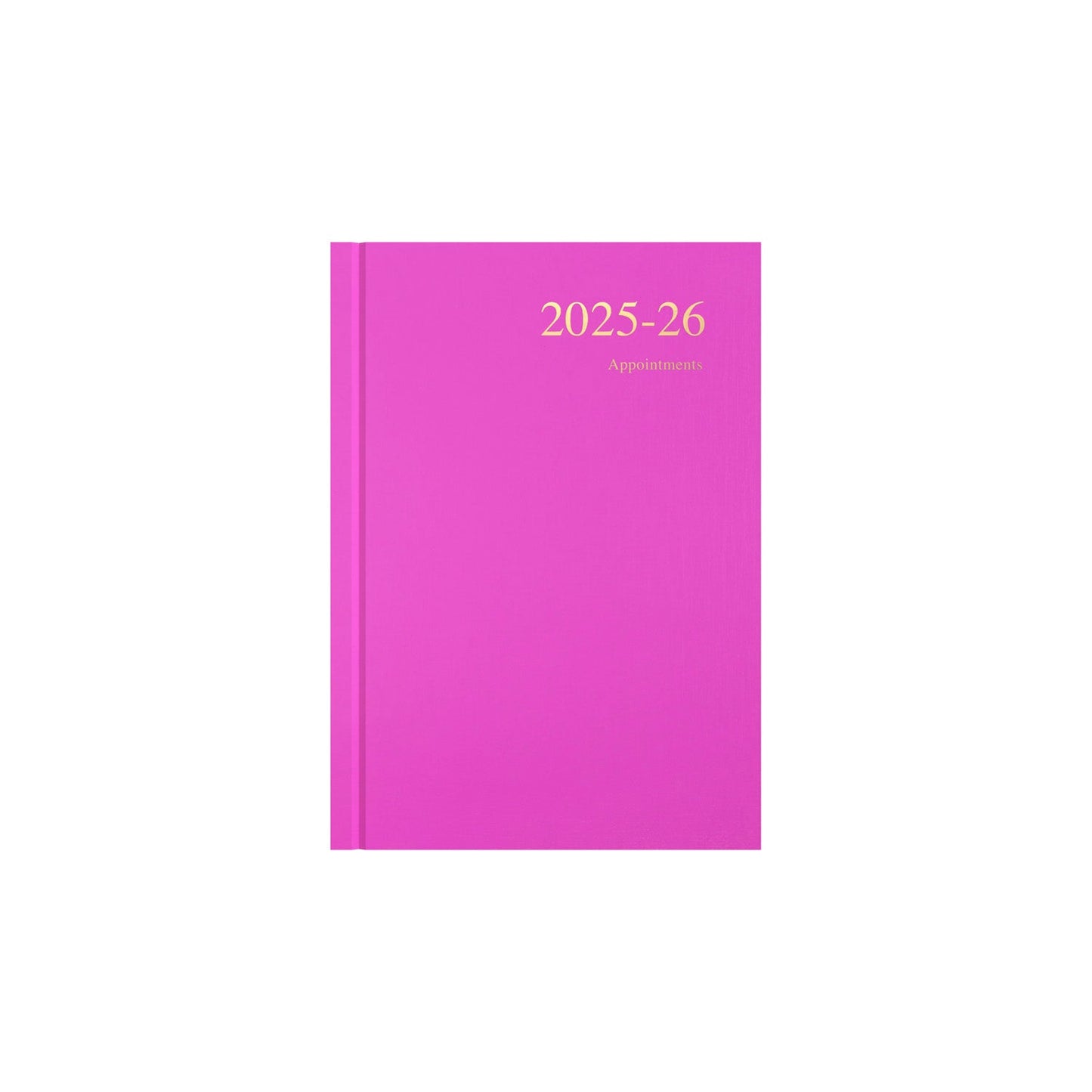 Essentials - A5 Day-to-Page with Appointments Mid/Academic Year Diary Planner, July 2025 - July 2026