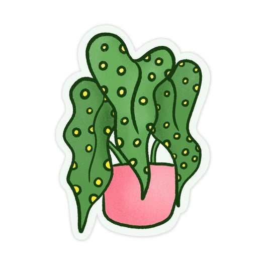 Green Begonia Plant Sticker