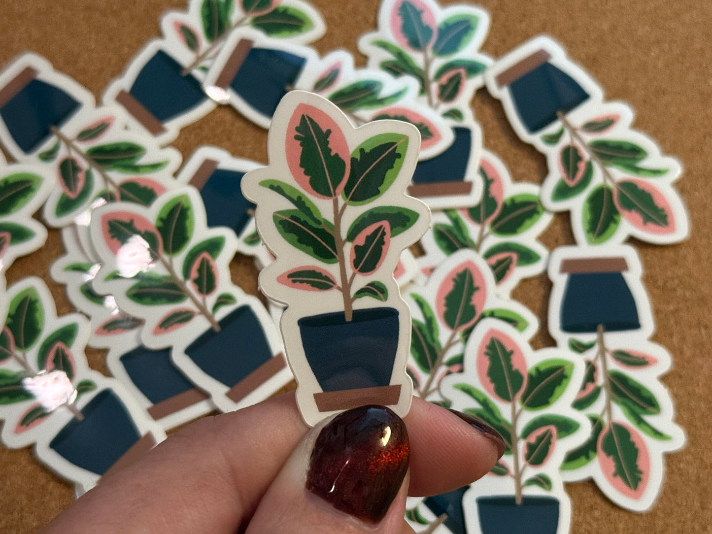 Variegated Ruby Rubber Plant Sticker