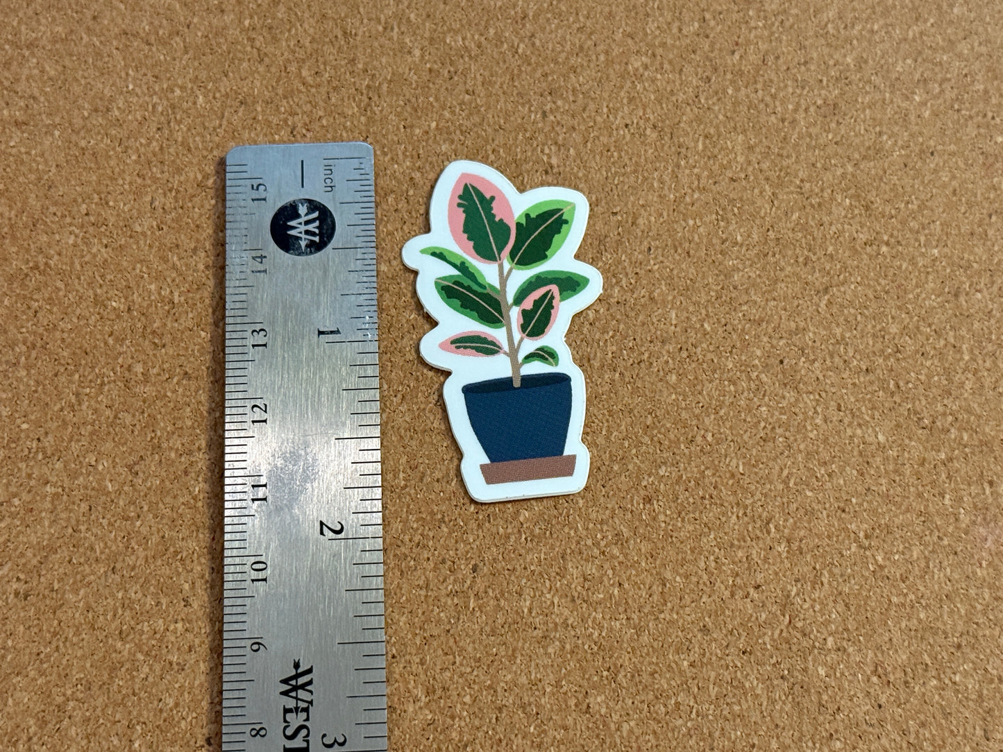 Variegated Ruby Rubber Plant Sticker