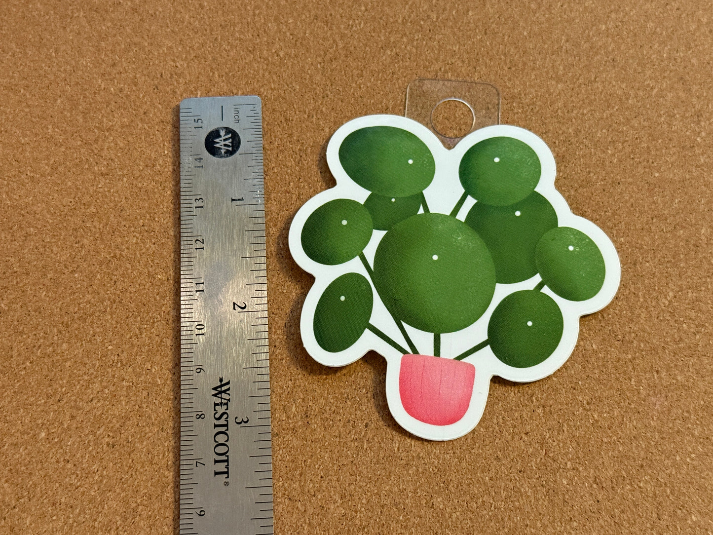 Pilea Peperomioides Plant Sticker