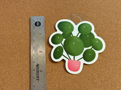 Pilea Peperomioides Plant Sticker