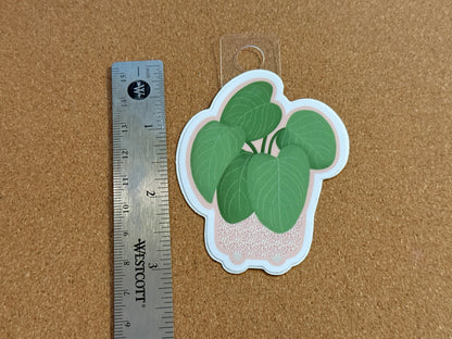 Philodendron Fuzzy Petiole Plant Sticker
