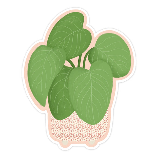 Philodendron Fuzzy Petiole Plant Sticker