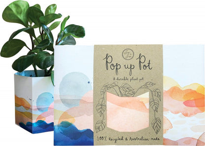 Pop Up Pot