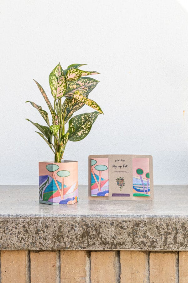 Pop Up Pot