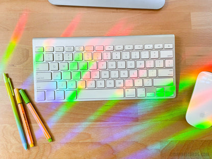 Protect our Pollinators Bug Lover Suncatcher Decal